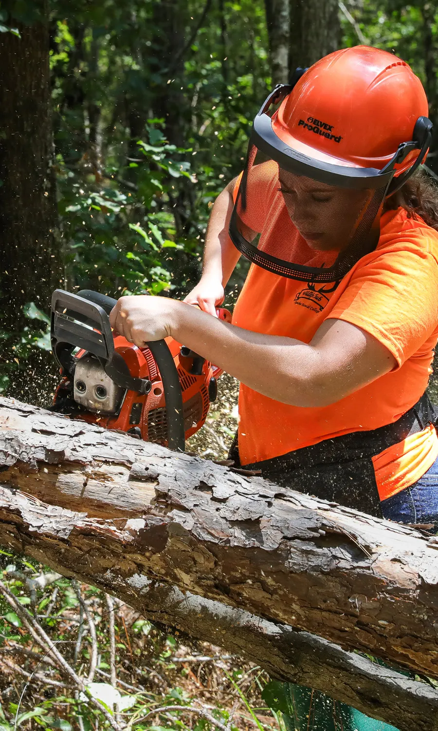 Arianna operating a chainsaw
