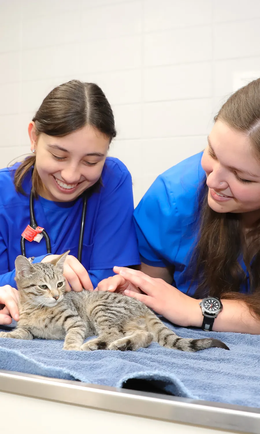 Lydia and Friend nursing kitten