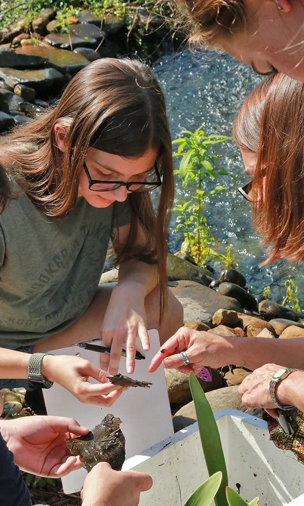 Fish and Wildlife Management students observing plant matter