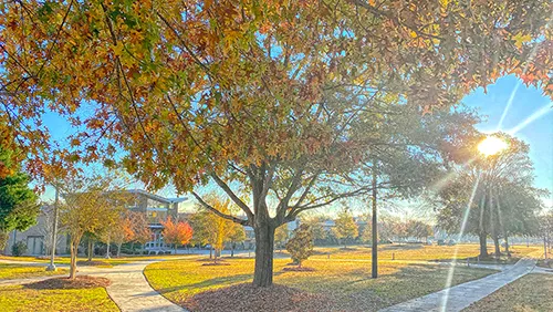 Exterior Photo of Campus 1